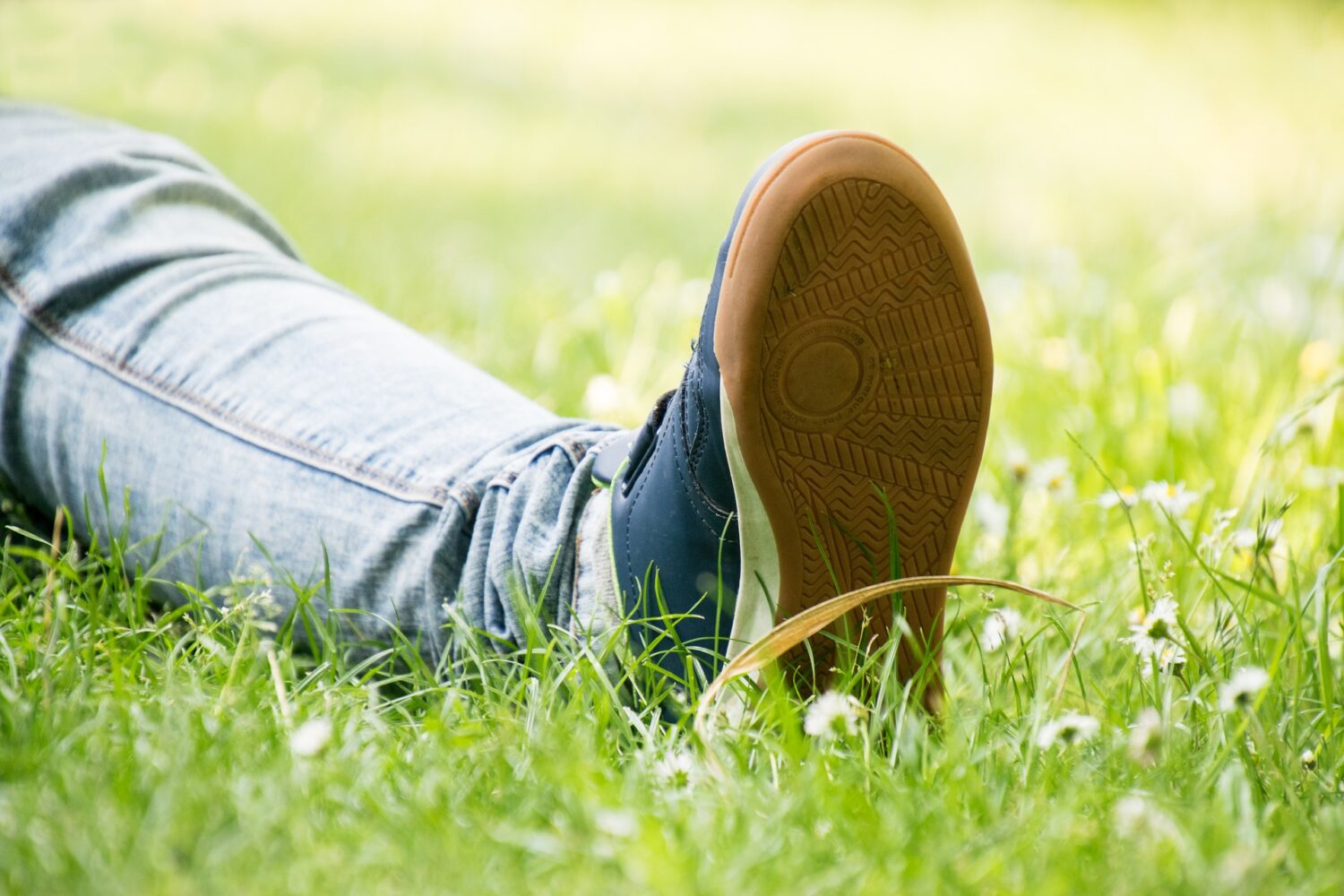 grass-3430366_1920