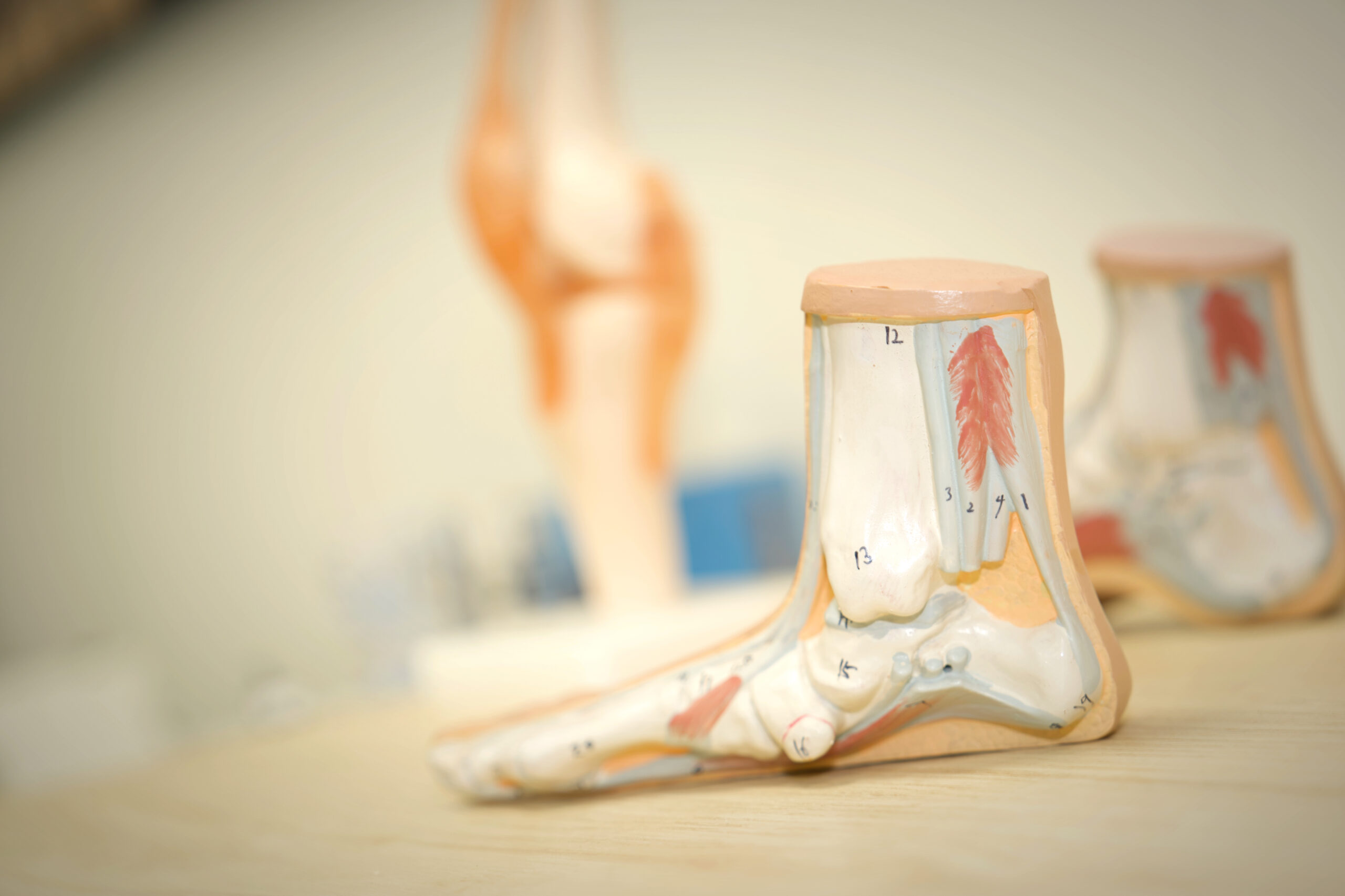 DSC01145-fotor-20231202221623